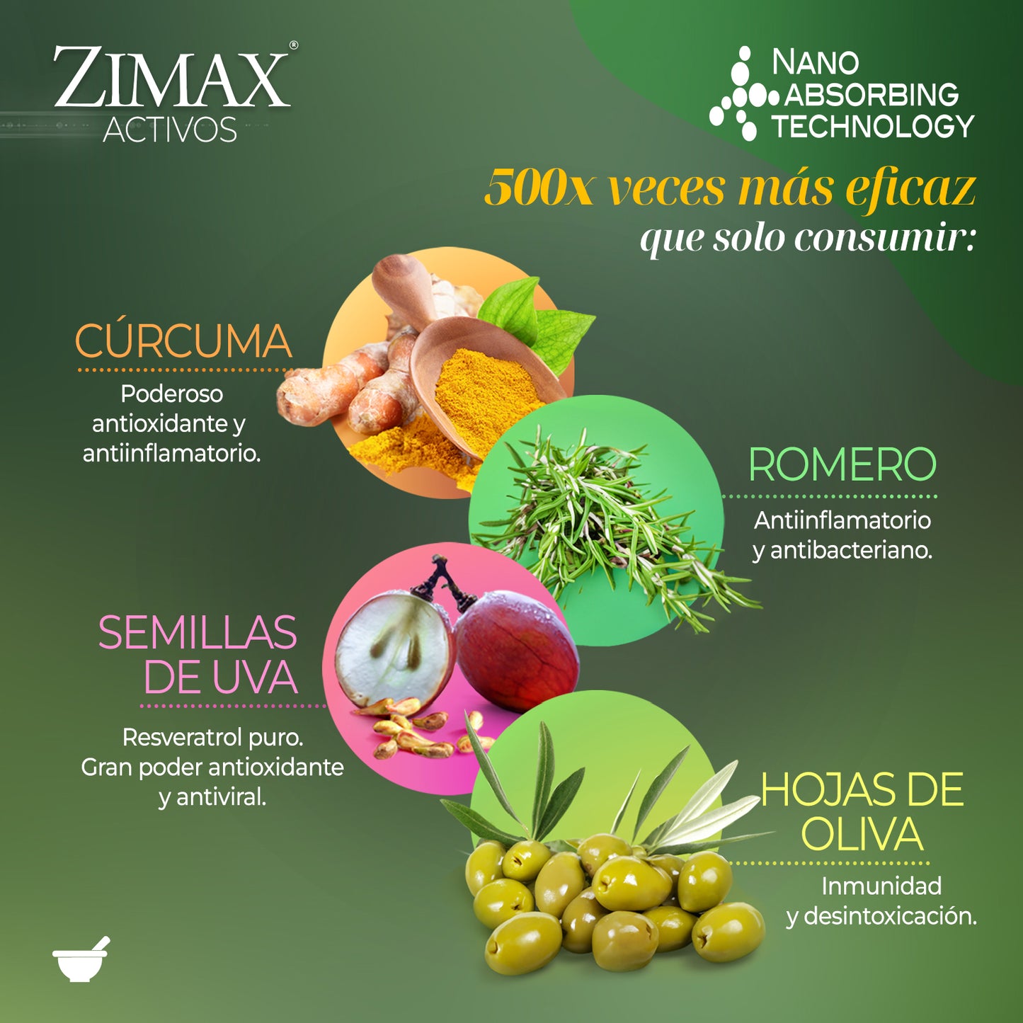 Zimax® antioxidante envase (test)